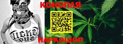 молекула духа Будённовск