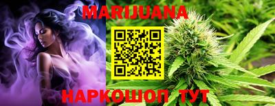 молекула духа Будённовск