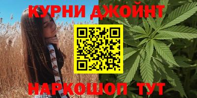 молекула духа Будённовск