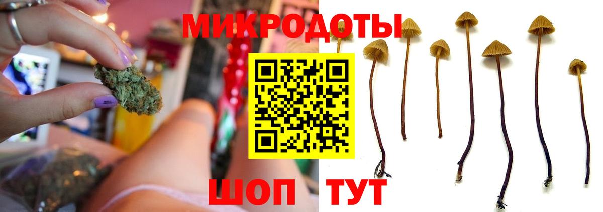 Галлюциногенные грибы Magic Shrooms Корсаков